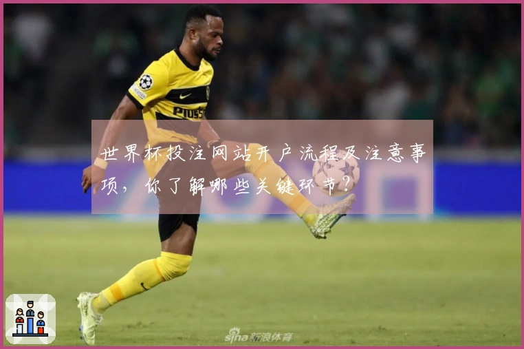 世界杯投注网站开户流程及注意事项，你了解哪些关键环节？
