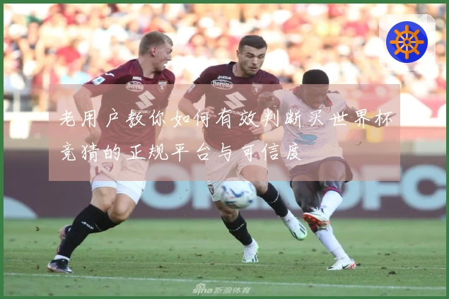 老用户教你如何有效判断买世界杯竞猜的正规平台与可信度