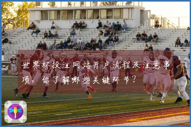 世界杯投注网站开户流程及注意事项，你了解哪些关键环节？