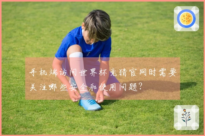 手机端访问世界杯竞猜官网时需要关注哪些安全和使用问题？