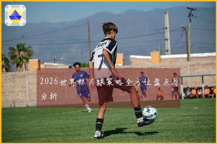 2026世界杯买球策略全方位盘点与分析