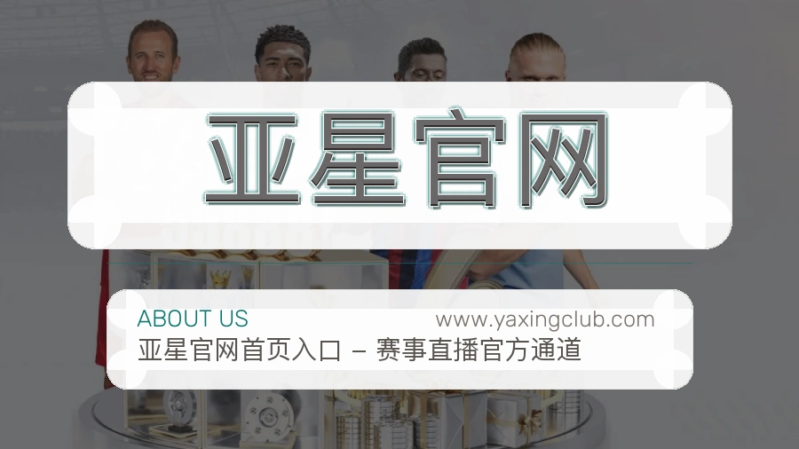 关于 亚星官网